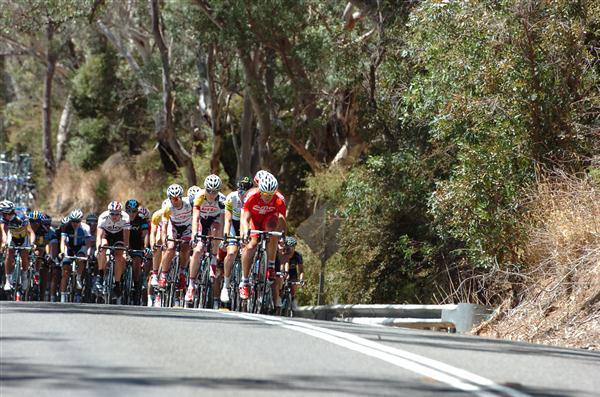 Martin Kohler leads the pack